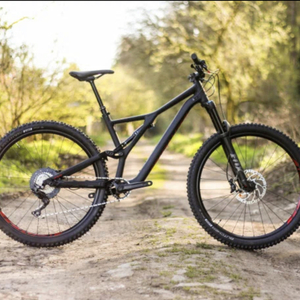 2019 Specialized Stumpjumper Black