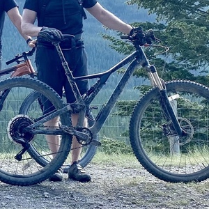 2019 Specialized Stumpjumper Black