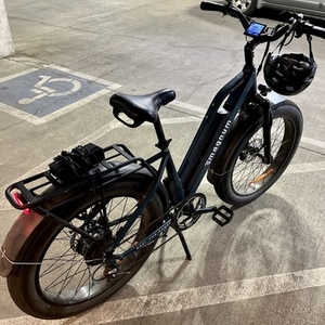 2021 Magnum Bikes Nomad Teal