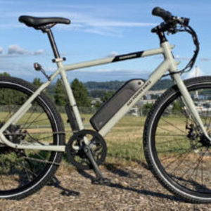 Rad Power Bikes RadMission High Step Silver, gray or bare metal