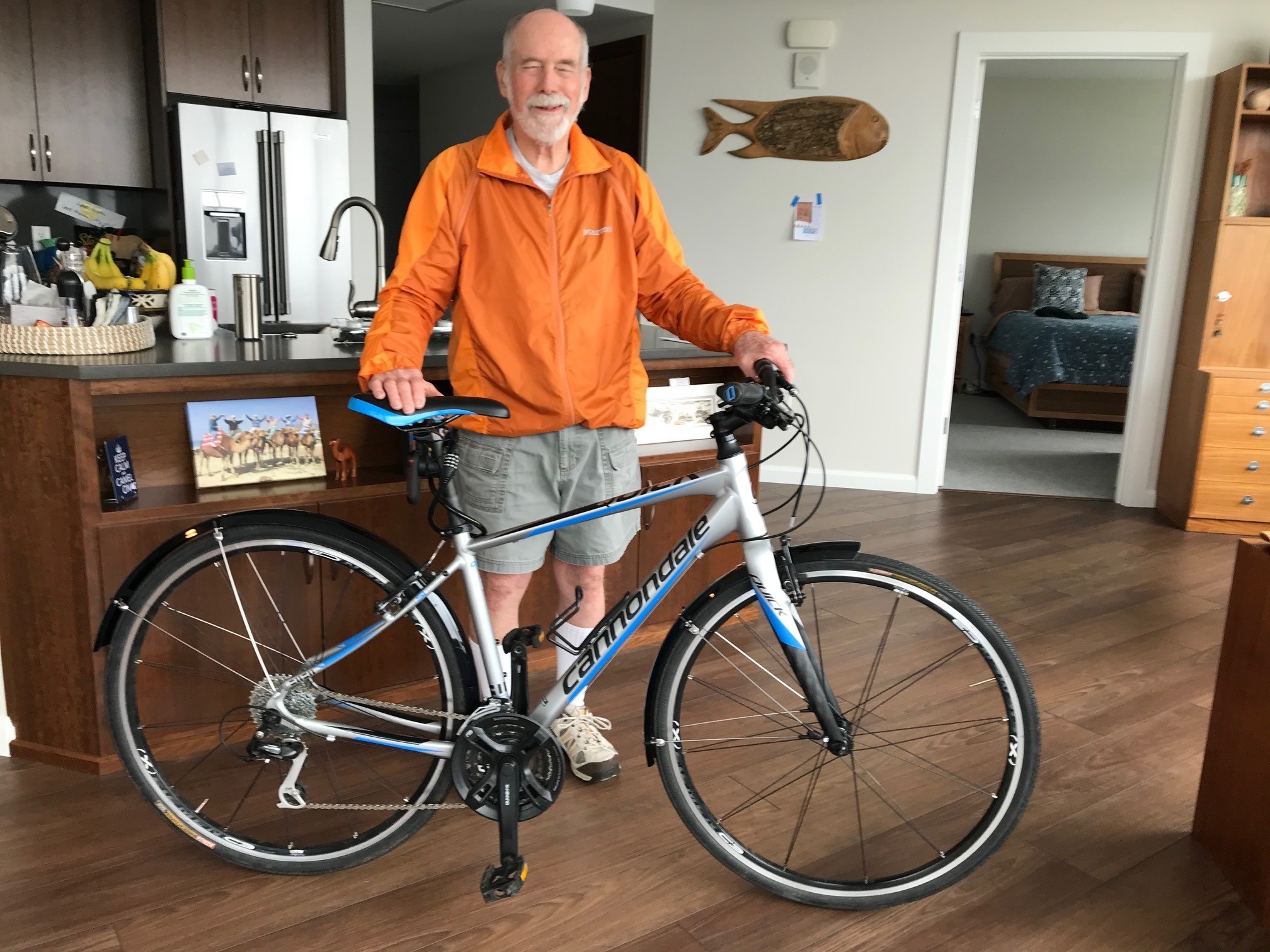 cannondale quick speed 1 2016