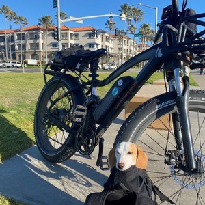 2019 Rad Power Bikes Rover Black