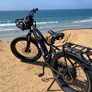 2019 Rad Power Bikes Rover Black