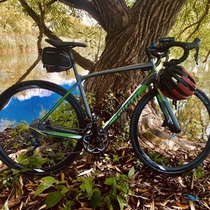 2017 Giant Contend SL disc Silver, gray or bare metal and Green