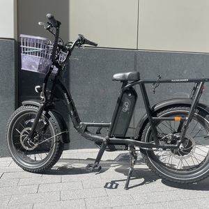 2022 Rad Power Bikes Radrunner 2 Black