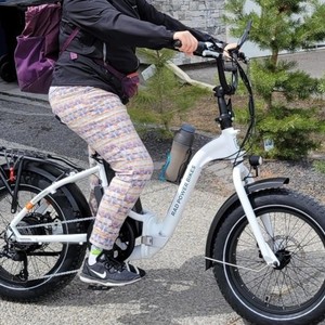 2022 Rad Power Bikes Rad Expand 5 White