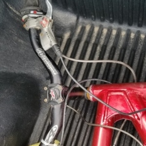 Santa Cruz Older Santa Cruz - 10 years + Red