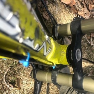 2016 Intense m9 FRO Yellow or Gold