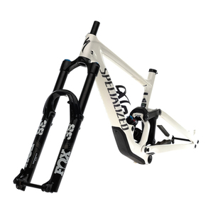 2021 Specialized Enduro Black