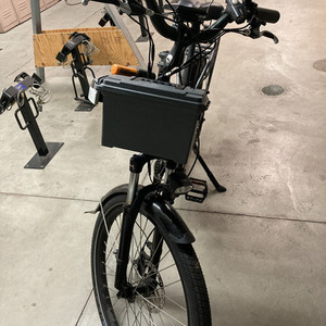 2019 Rad Power Bikes RadCity Silver, gray or bare metal
