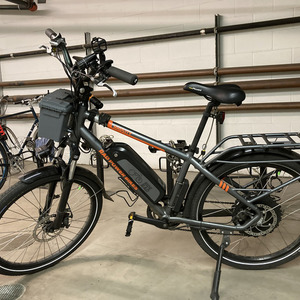 2019 Rad Power Bikes RadCity Silver, gray or bare metal
