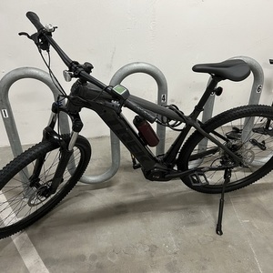 2022 Trek Powerfly 4 Silver, gray or bare metal