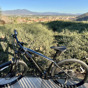 2022 Trek Powerfly 4 Silver, gray or bare metal