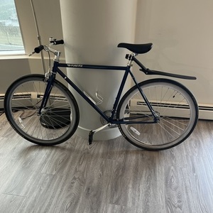 Pure Cycles 54cm