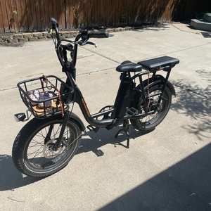 2020 Rad Power Bikes Rad Runner Black