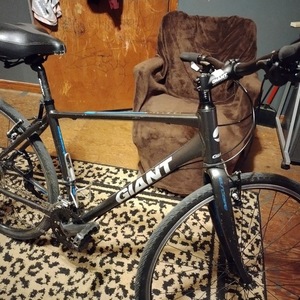 Giant Escape 2 Black