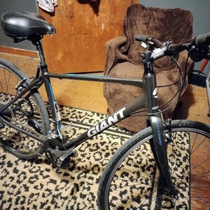 Giant Escape 2 Black