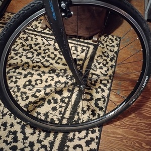 Giant Escape 2 Black