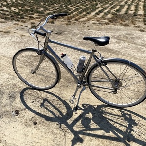 2014 Globe DAILY 2 Silver, gray or bare metal