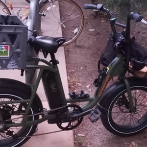 2022 Rad Power Bikes RadRunner 2 cargo bike (rear storage) Green and Black