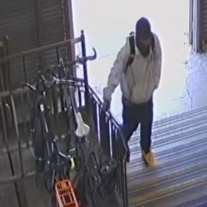 2020 Rad Power Bikes RadRover 5 Black