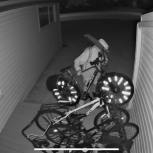 2020 Giant Roam 1 Silver, gray or bare metal, Green, and Silver, gray or bare metal