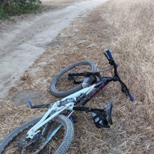 2021 Polygon Siskiu D7 White, Blue, and Black