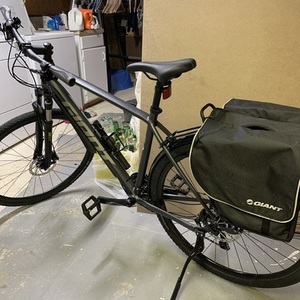 2020 Giant Roam 1 Silver, gray or bare metal, Green, and Silver, gray or bare metal