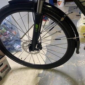 2020 Giant Roam 1 Silver, gray or bare metal, Green, and Silver, gray or bare metal