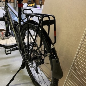 2020 Giant Roam 1 Silver, gray or bare metal, Green, and Silver, gray or bare metal