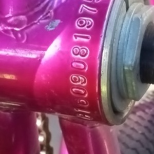 2016 Kent Gs32027wma Pink and Green