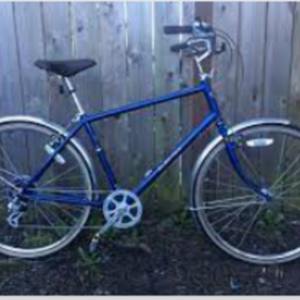 Electra Ticino 7D Blue and Silver, gray or bare metal