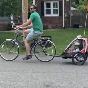 Electra Ticino 7D Blue and Silver, gray or bare metal