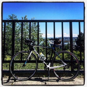 2014 SCOTT SOLACE Blue, White, and Black