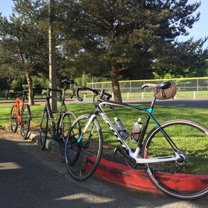 2014 SCOTT SOLACE Blue, White, and Black