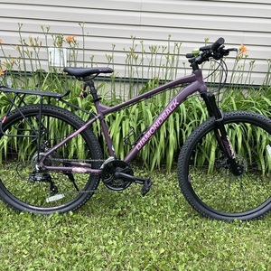 2022 Diamondback Ridgeback Purple