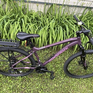 2022 Diamondback Ridgeback Purple