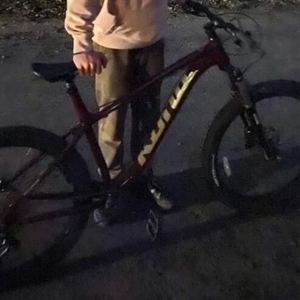 2019 Kona XL Frame Purple