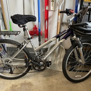 Ironhorse Bicycles Outlaw - 17.5" Silver, gray or bare metal