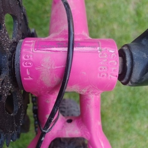 Norco Bikes Storm Pink