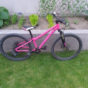 Norco Bikes Storm Pink