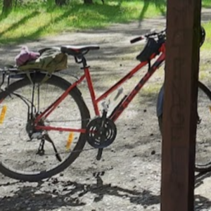 2020 Kellys Bicycles Clea 90 Red