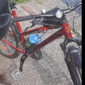 2020 Kellys Bicycles Clea 90 Red