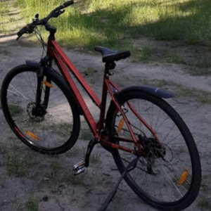2020 Kellys Bicycles Clea 90 Red