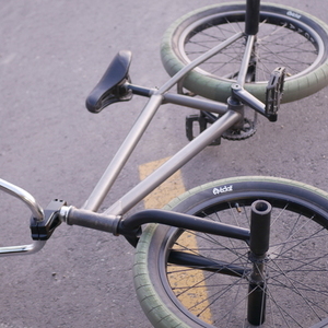 2022 BSD ALVX Silver, gray or bare metal