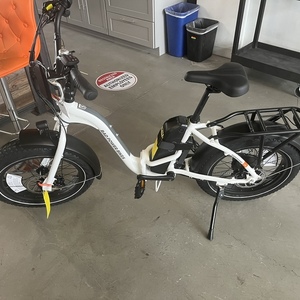 2022 Rad Power Bikes Rad 5 Expand White