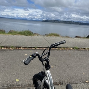 2022 Rad Power Bikes Rad 5 Expand White