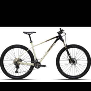 2021 Polygon Xtrada Brown