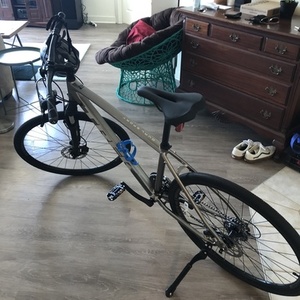 2020 Trek Dual Sport 2 L Silver, gray or bare metal