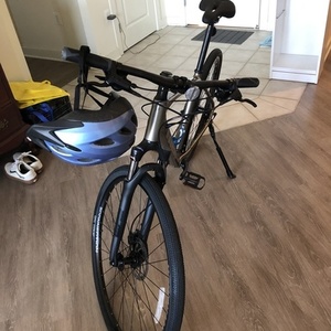 2020 Trek Dual Sport 2 L Silver, gray or bare metal